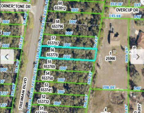 8086 TREIMAN BLVD BLVD, Webster, FL 33597