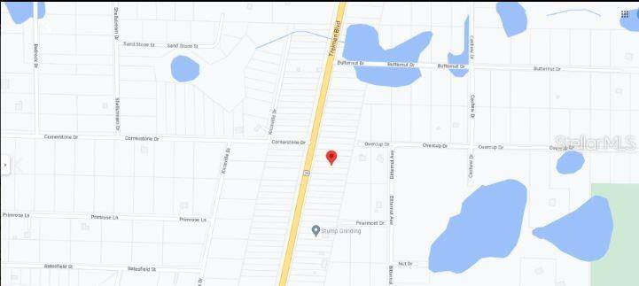 8086 TREIMAN BLVD BLVD, Webster, FL 33597