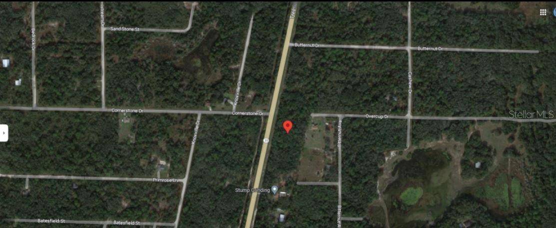 8086 TREIMAN BLVD BLVD, Webster, FL 33597