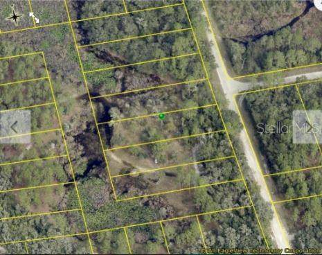 CHIMNEY ROCK DR, Webster, FL 33597
