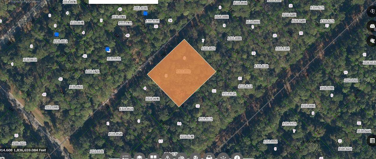 209 SE PARADISE LAKES, Georgetown, FL 32139