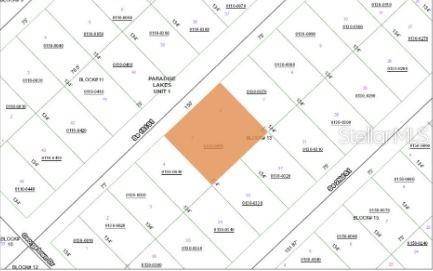 209 SE PARADISE LAKES, Georgetown, FL 32139