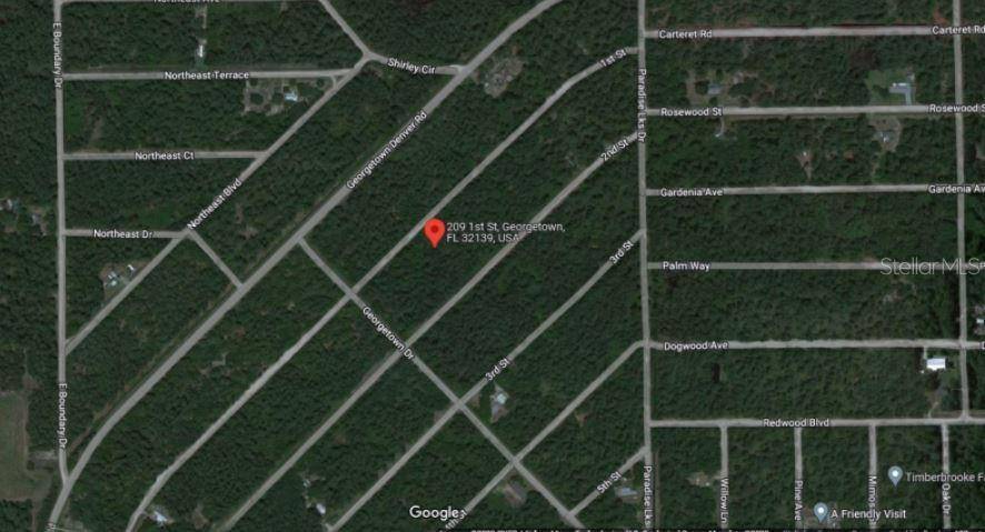 209 SE PARADISE LAKES, Georgetown, FL 32139