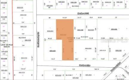 103 NORTHEAST CT, Georgetown, FL 32139