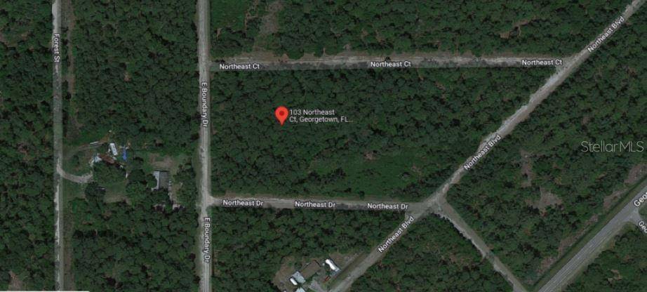 103 NORTHEAST CT, Georgetown, FL 32139