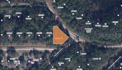 SHIRLEY CIR,, Georgetown, FL 32139