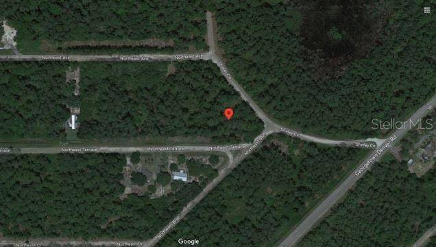 SHIRLEY CIR,, Georgetown, FL 32139