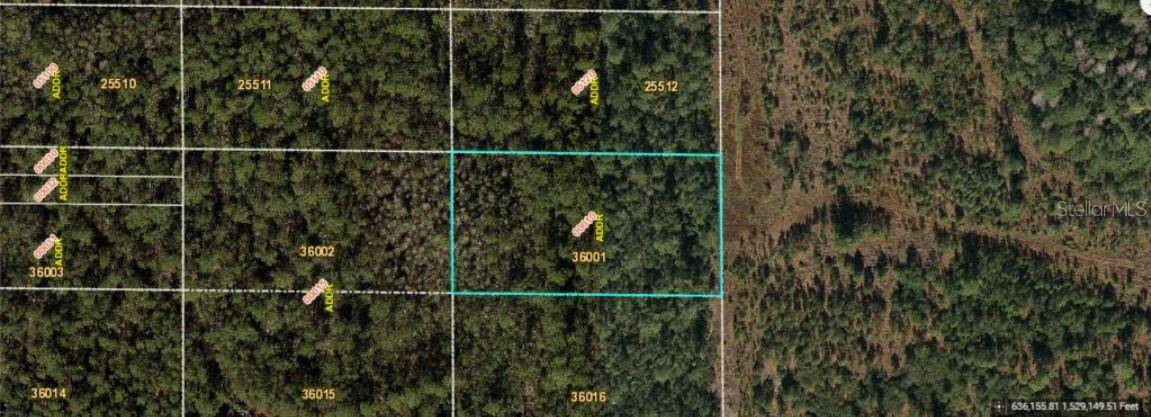 E COLONIAL DR, Orlando, FL 32820