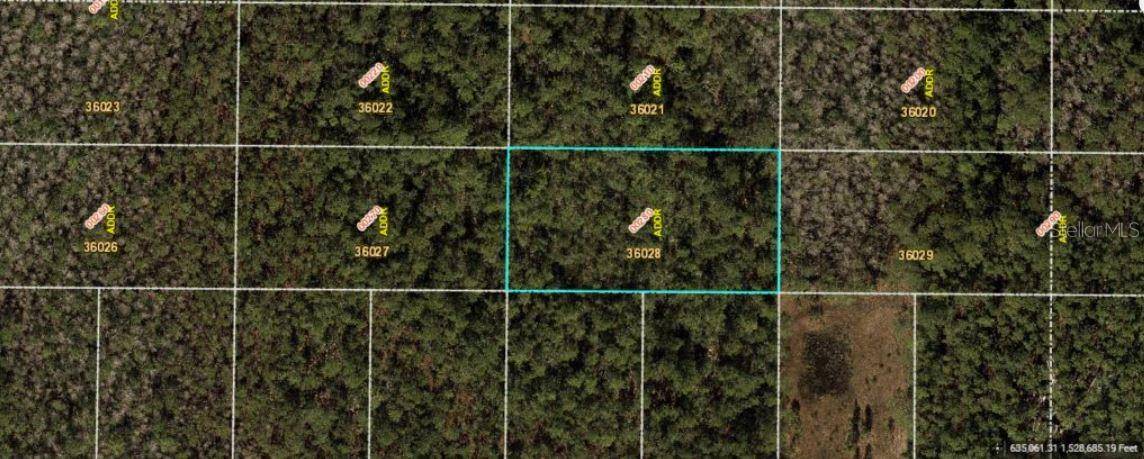 E COLONIAL DR, Orlando, FL 32820