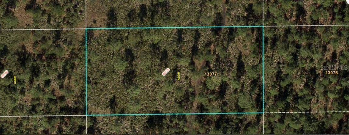 DILL RD, Orlando, FL 32820