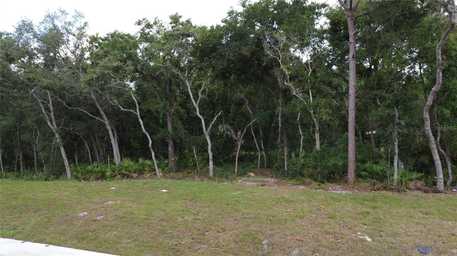 BAYWOOD ST, Altamonte Springs, FL 32701