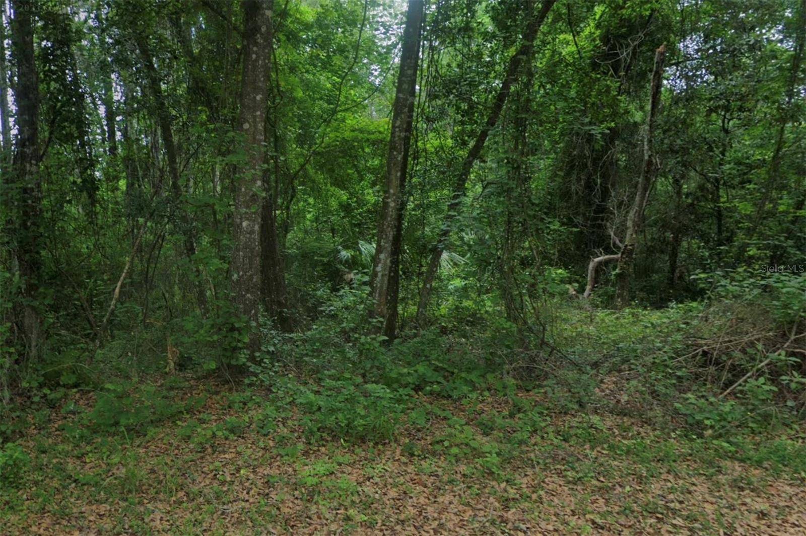 102 RIDGELINE AVE, Satsuma, FL 32189