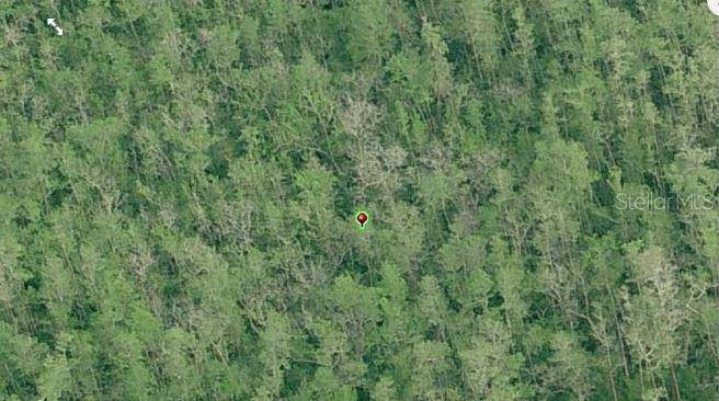DILL RD, Orlando, FL 32820