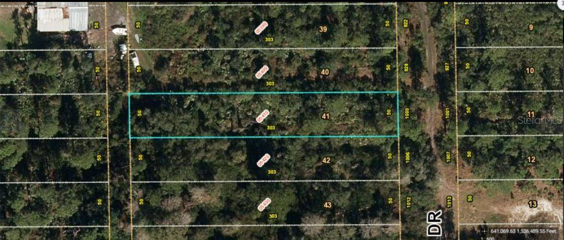 1000 GREENBRIAR DR, Christmas, FL 32709