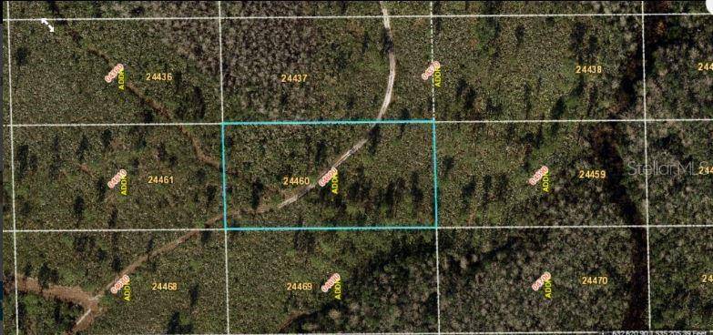 DILL RD, Orlando, FL 32820