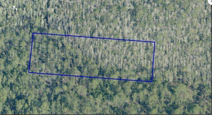DILL RD, Orlando, FL 32820