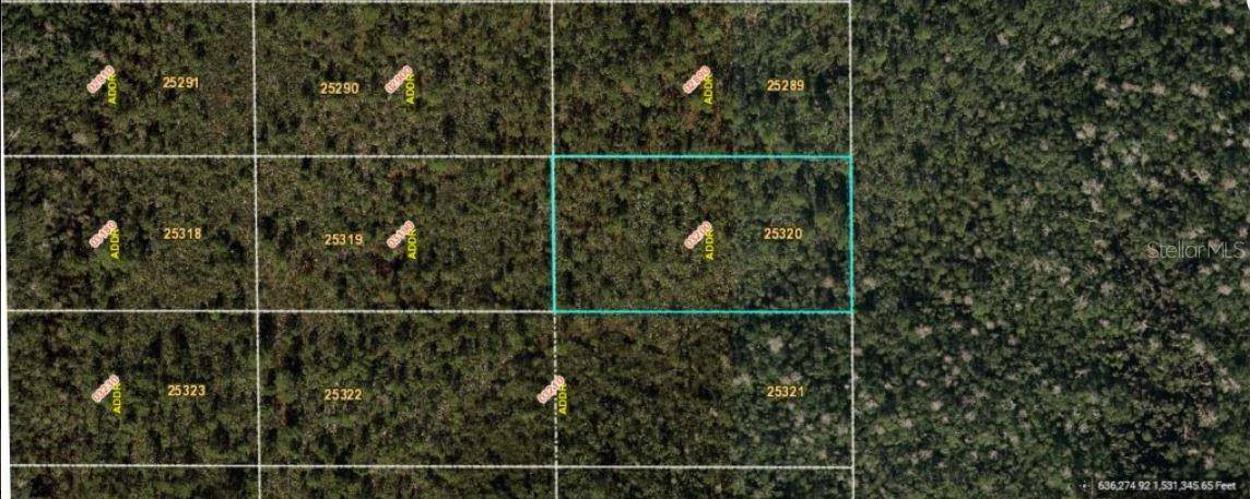 DILL RD, Orlando, FL 32820