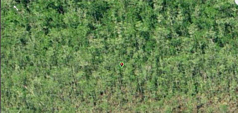 DILL RD, Orlando, FL 32820