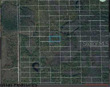 DILL RD, Orlando, FL 32820