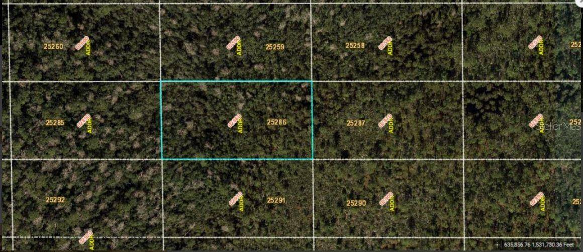 DILL RD, Orlando, FL 32820