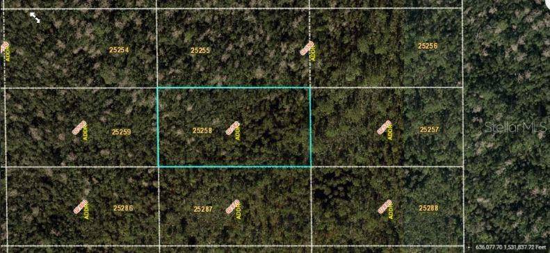 DILL RD, Orlando, FL 32820