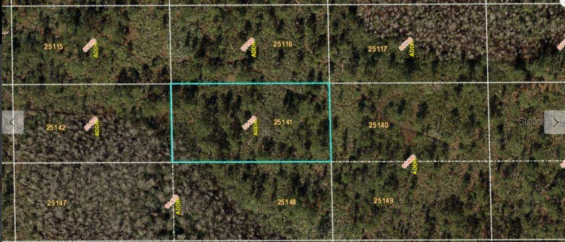 DILL RD, Orlando, FL 32820