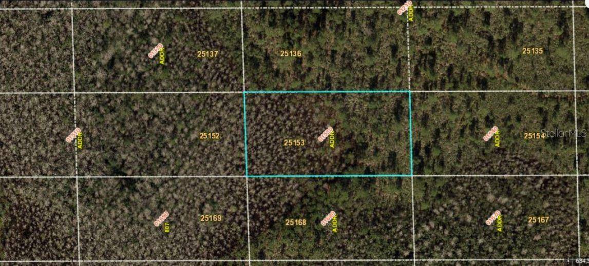 DILL RD, Orlando, FL 32820