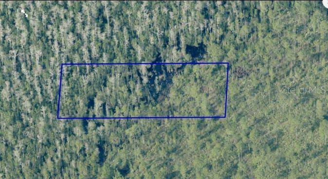 DILL RD, Orlando, FL 32820