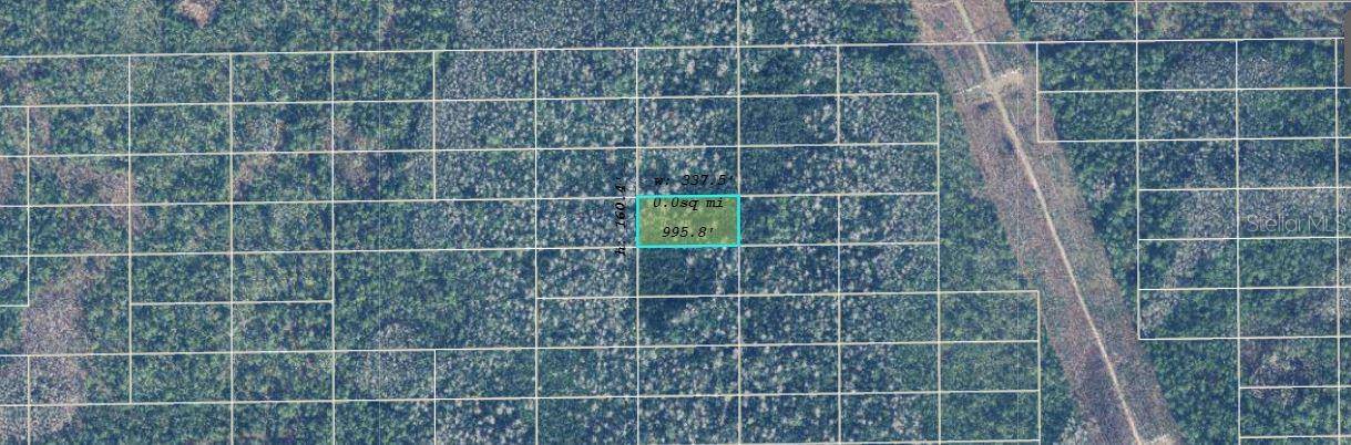 DILL RD, Orlando, FL 32820