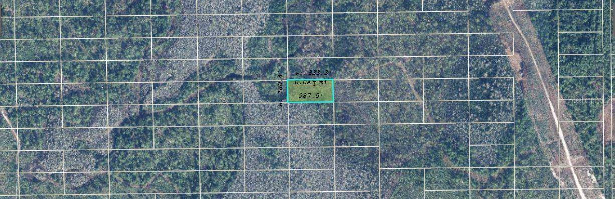 DILL RD, Orlando, FL 32820