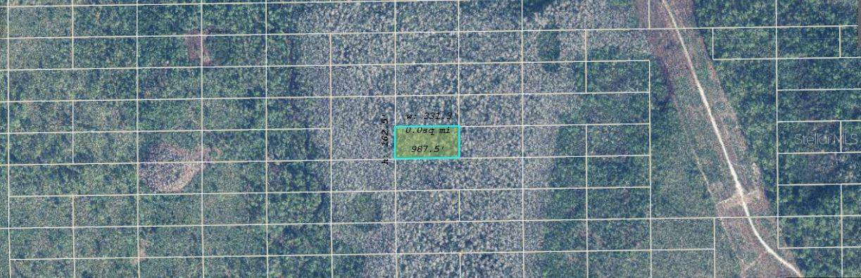 DILL RD, Orlando, FL 32820