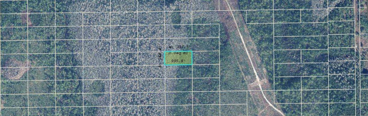 DILL RD, Orlando, FL 32820