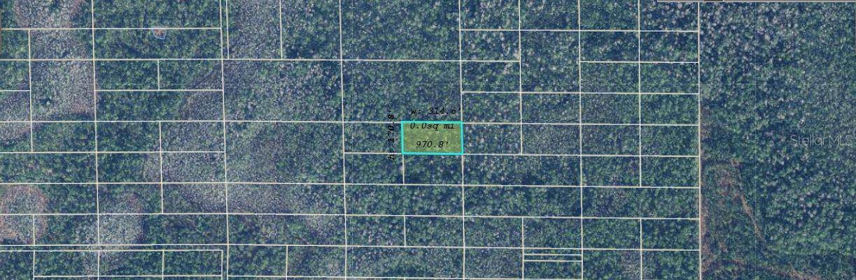 DILL RD, Orlando, FL 32820