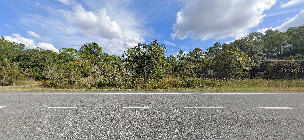 7338 TREIMAN BLVD, Webster, FL 33597