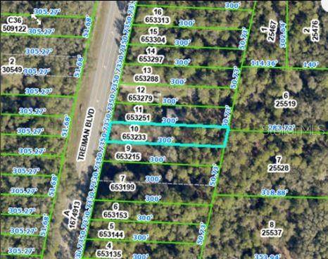 7338 TREIMAN BLVD, Webster, FL 33597