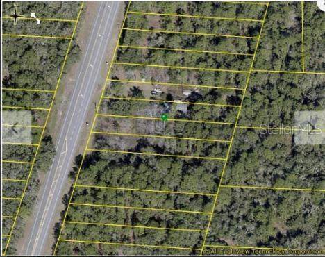7338 TREIMAN BLVD, Webster, FL 33597