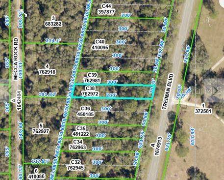 TREIMAN BLVD, Webster, FL 33597