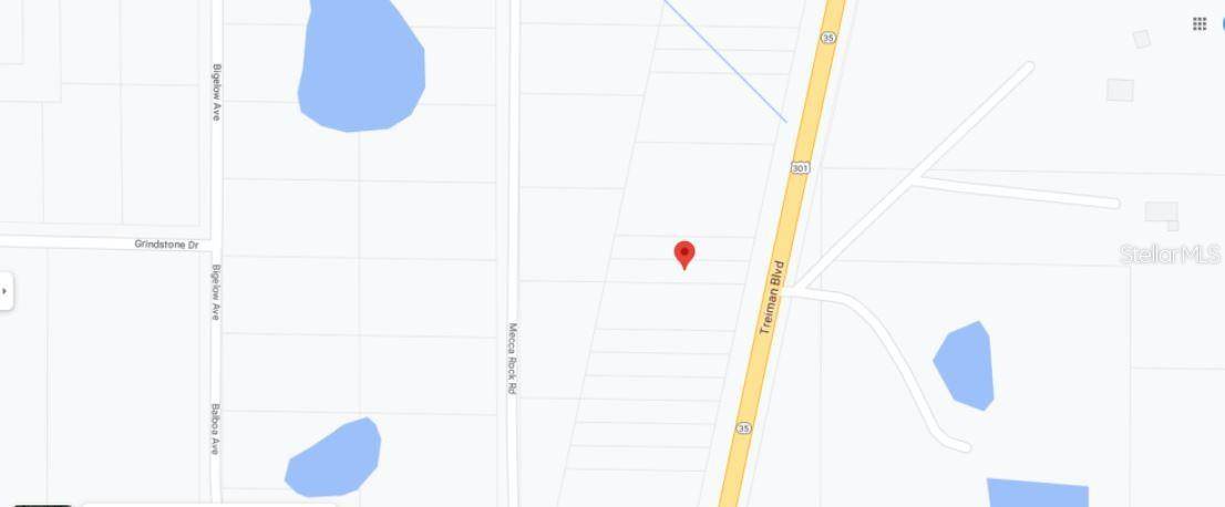 TREIMAN BLVD, Webster, FL 33597