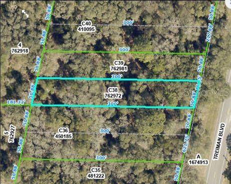 TREIMAN BLVD, Webster, FL 33597