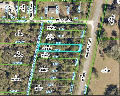 TREIMAN BLVD, Webster, FL 33597