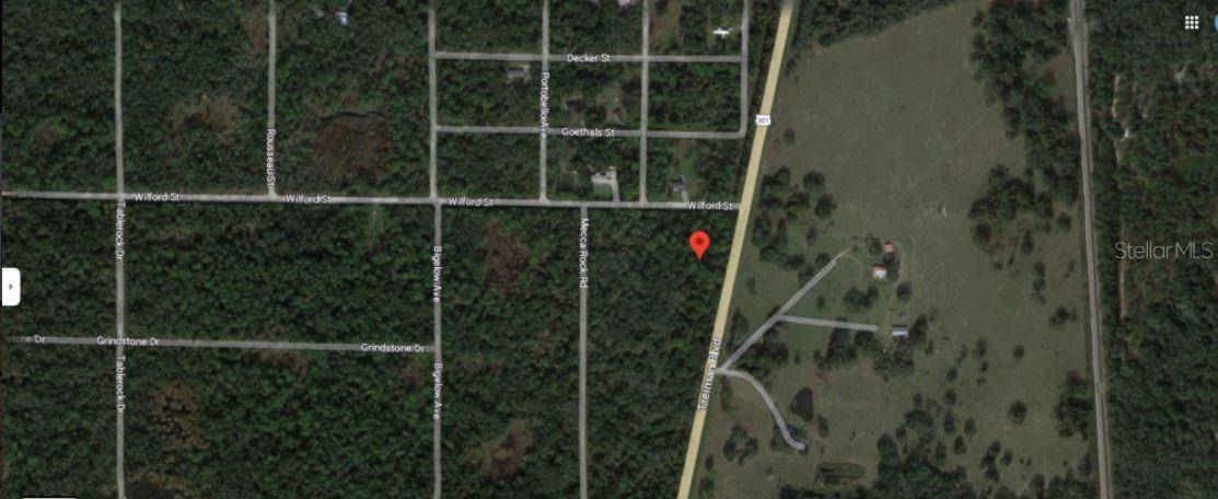 TREIMAN BLVD, Webster, FL 33597