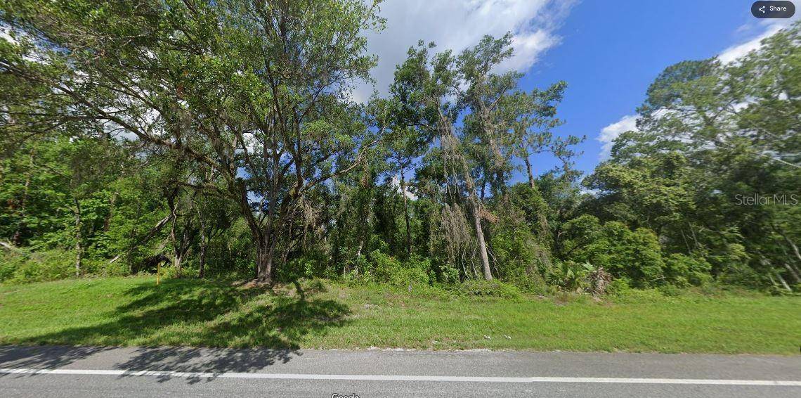 TREIMAN BLVD, Webster, FL 33597