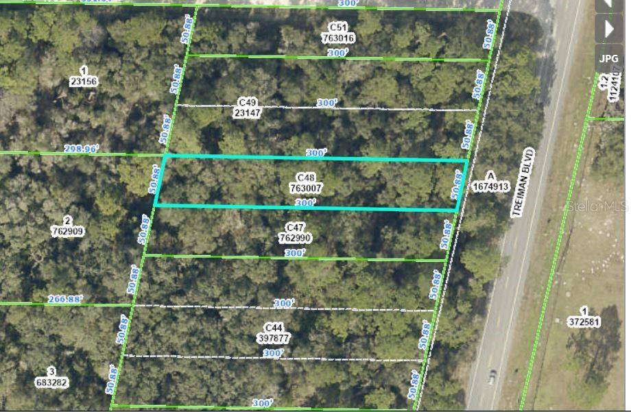 TREIMAN BLVD, Webster, FL 33597