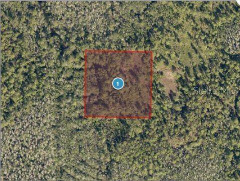 SALYERS RD, Clermont, FL 34714