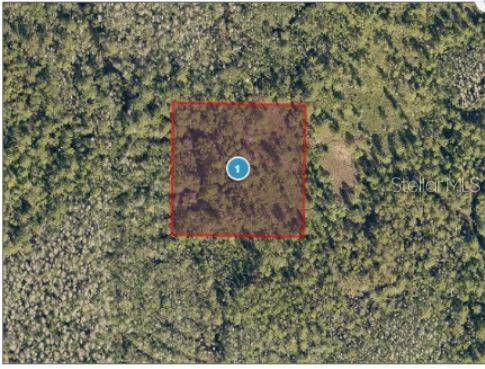 SALYERS RD, Clermont, FL 34714