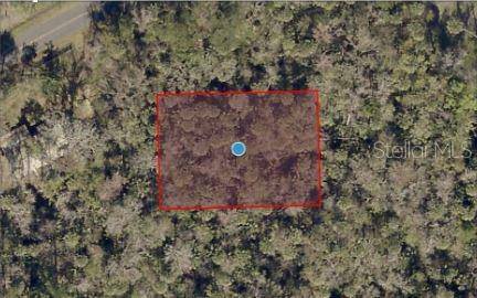 RIVER RD, Astor, FL 32102
