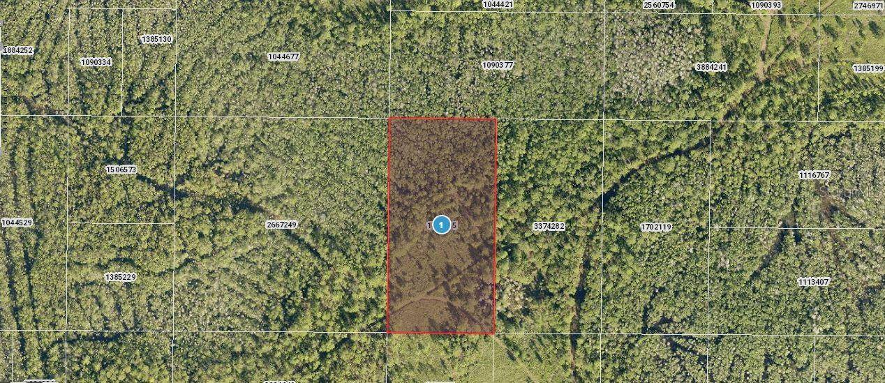 SALYERS RD, Clermont, FL 34714