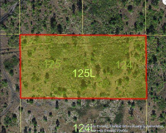 HOLOPAW GROVES RD, St Cloud, FL 34773