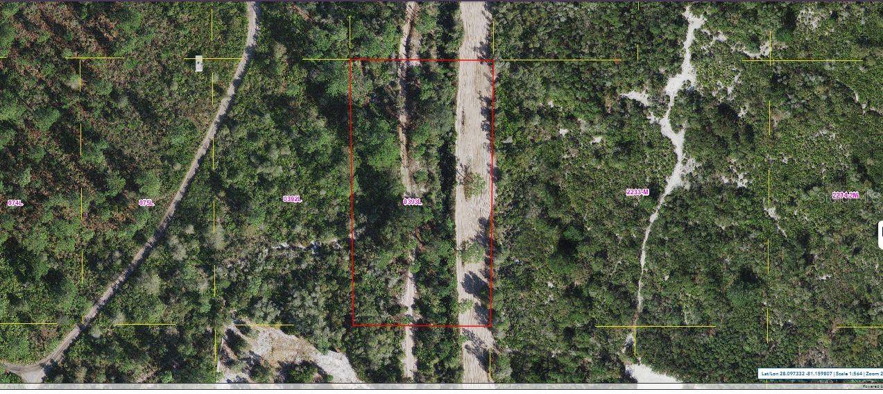 HOLOPAW GROVES RD, St Cloud, FL 34773