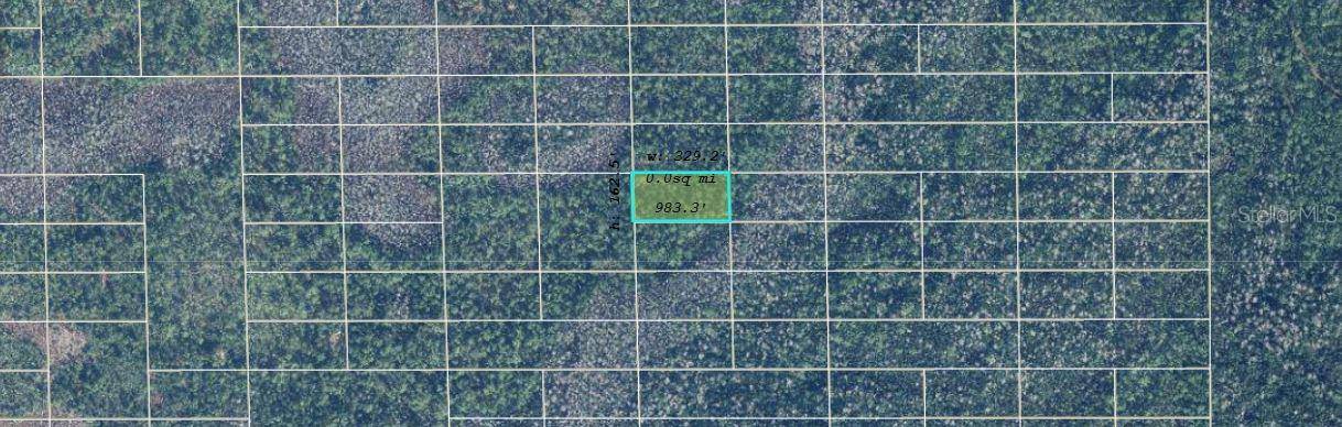 DILL RD, Orlando, FL 32820